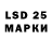 Ecstasy Philipp Plein Amir Halidov