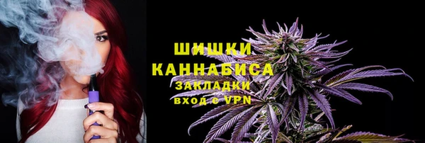 ПСИЛОЦИБИНОВЫЕ ГРИБЫ Алексин