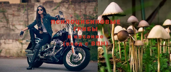 ПСИЛОЦИБИНОВЫЕ ГРИБЫ Алексин