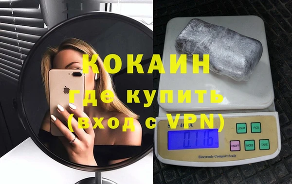 прущие грибы Абаза