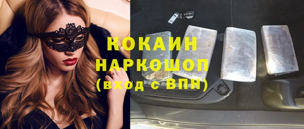 прущие грибы Абаза