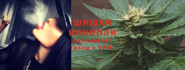 прущие грибы Абаза