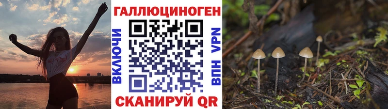 Галлюциногенные грибы Psilocybe  blacksprut tor  Вилючинск  сколько стоит 